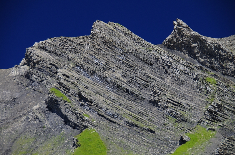 24h Hike Mammut_Ochsner 'Grosse Scheidegg _ Schwarzhorn 2927m' 18_08_2012 (98).JPG